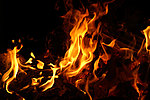 Flammen.jpg 