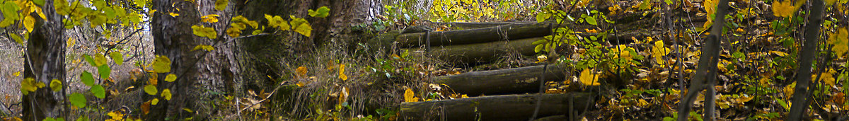 Wandergebiet Kurort Jonsdorf 